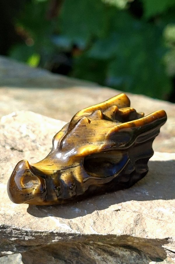 Dragon œil de tigre