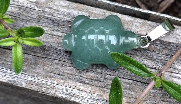 Tortue aventurine