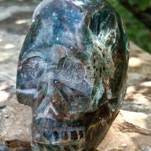 Crâne apatite