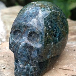 Crâne apatite