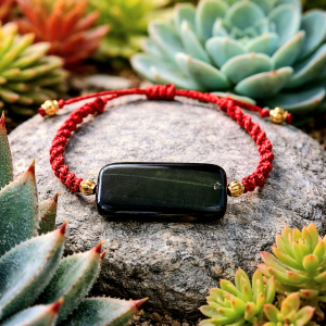 Bracelet œil de faucon