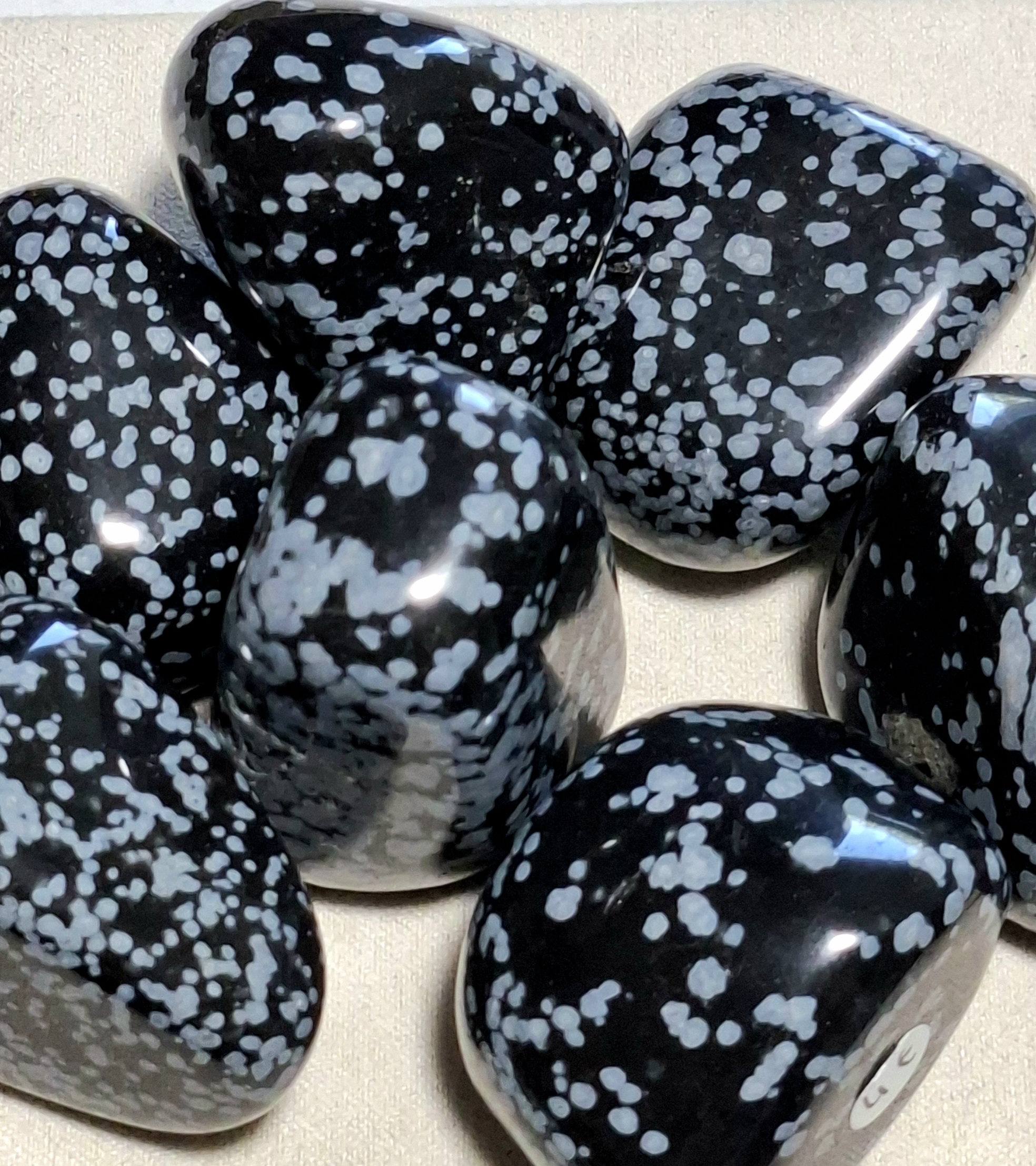 Obsidienne neige – Image 2