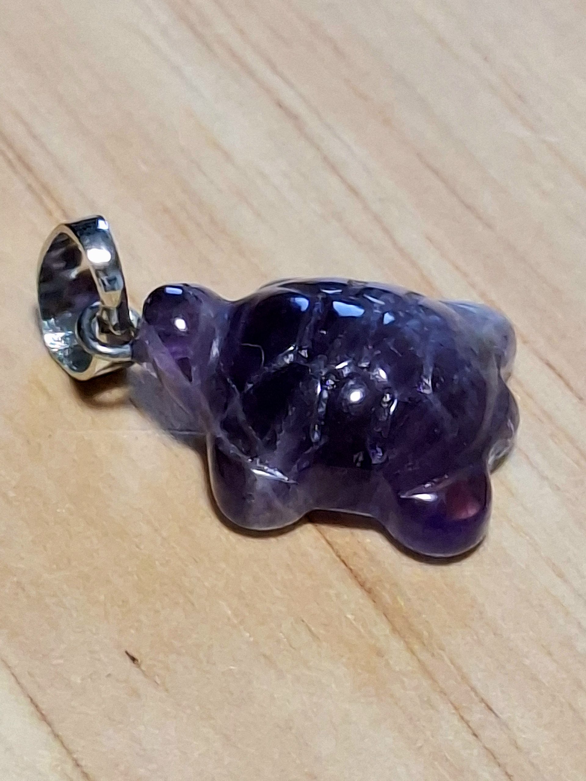 Tortue améthyste – Image 2