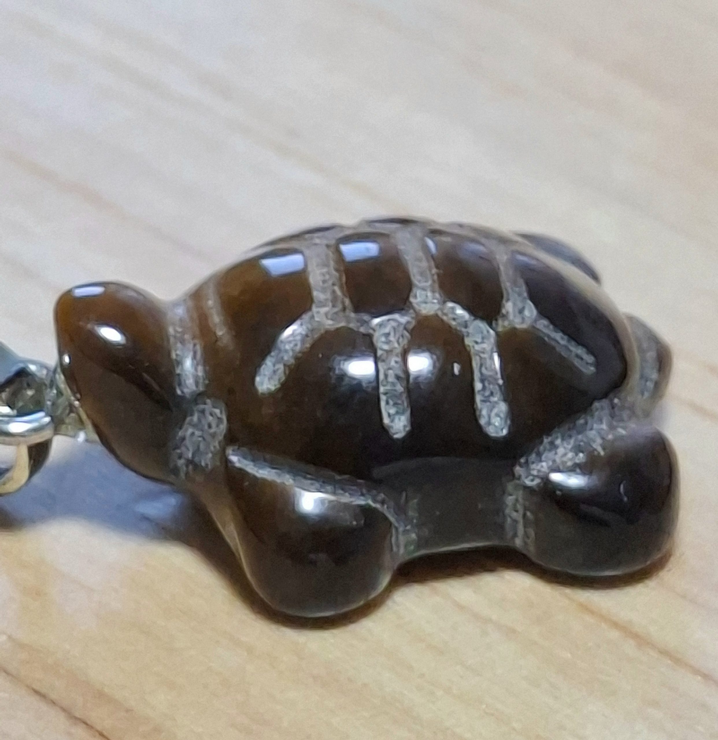 Tortue oeil de tigre – Image 2